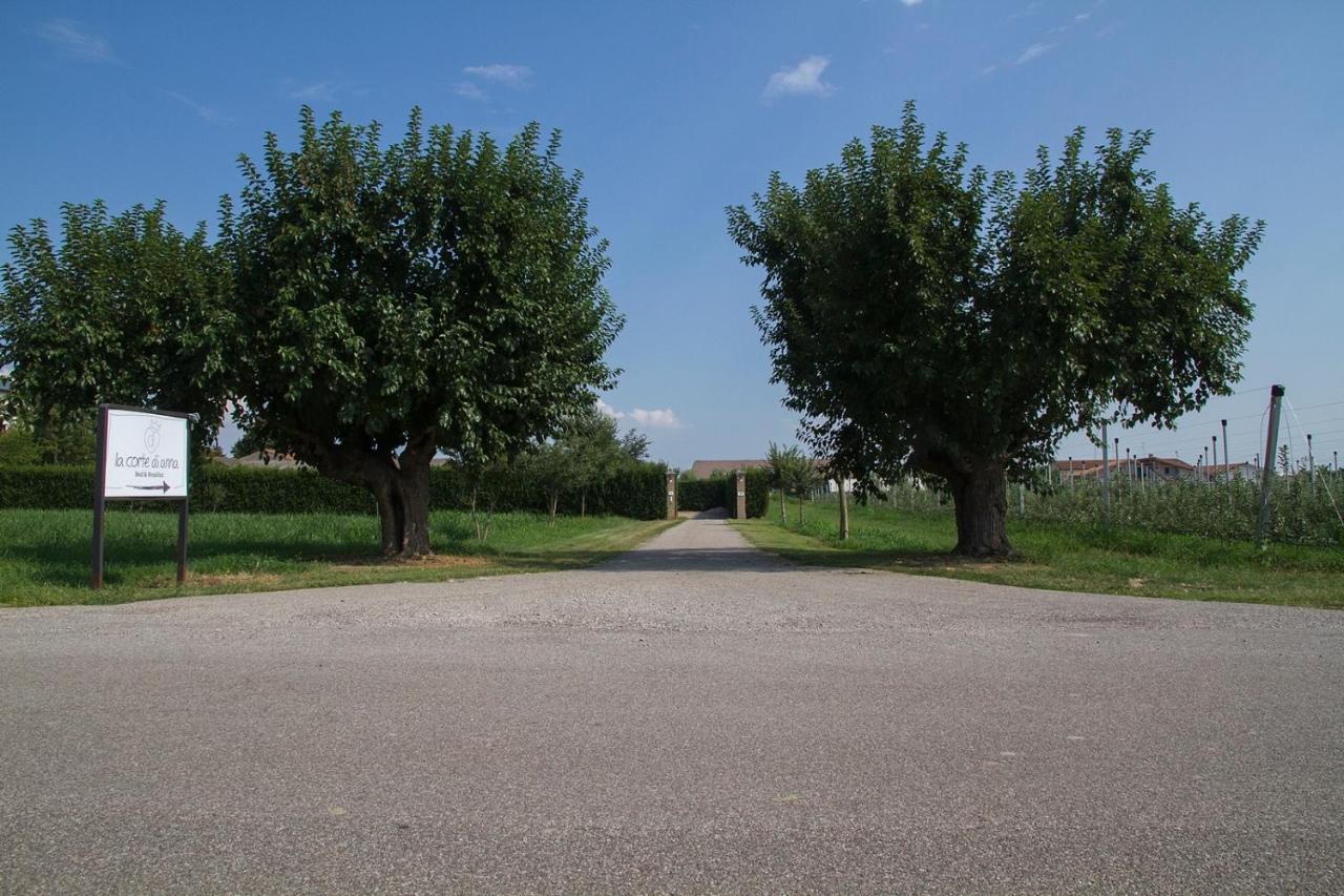 La Corte Di Anna Agriturismo Сан-Джованни-Лупатото Экстерьер фото